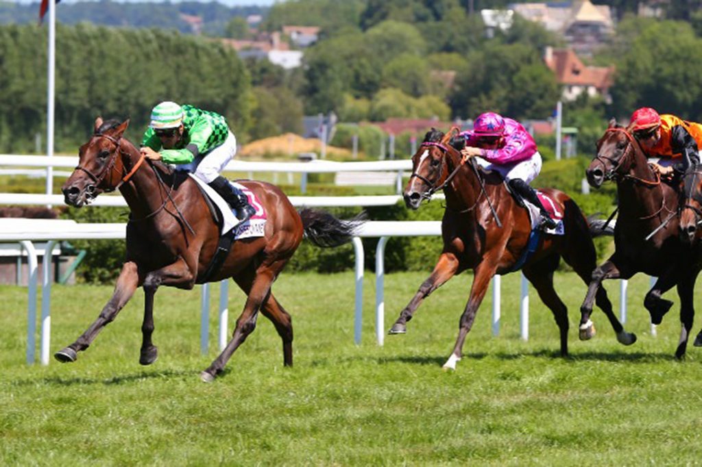 Scarlet Tufty winning at Clairefontaine in 2019