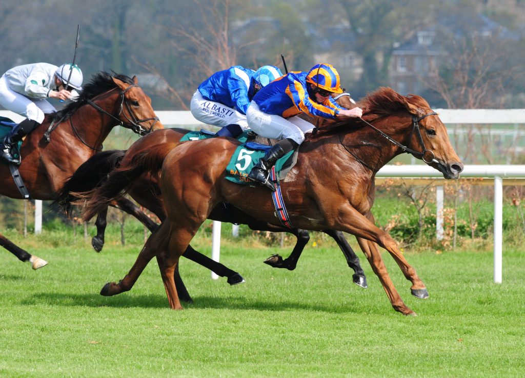 Never No More wins at Leopardstown (IRE) in 2019
