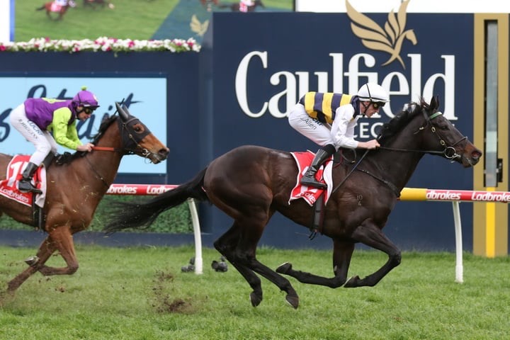 Harbour Views winning at Caulfield