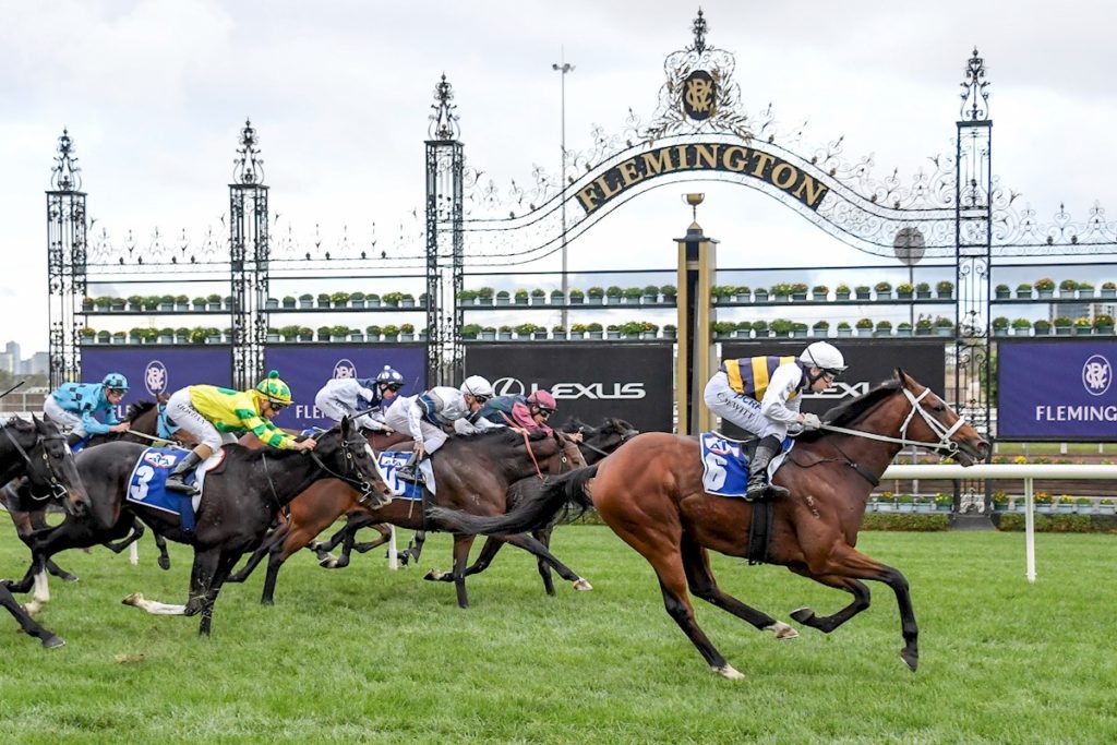Mantastic winning at Flemington Racecourse in May 2019