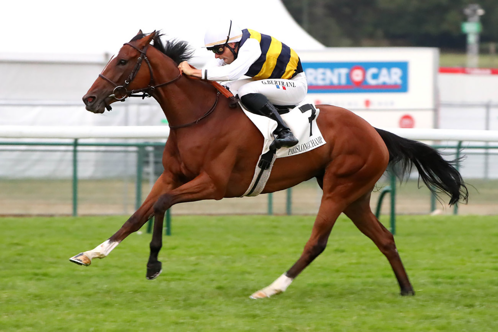 Racehorse Lorne, a 4yo thoroughbred mare stretches out to win at Longchamp.