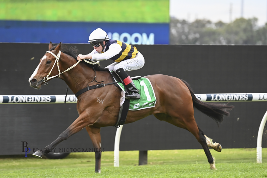 Holstein, a thoroughbred gelding by Snitzel wins dominantly at Rosehill.