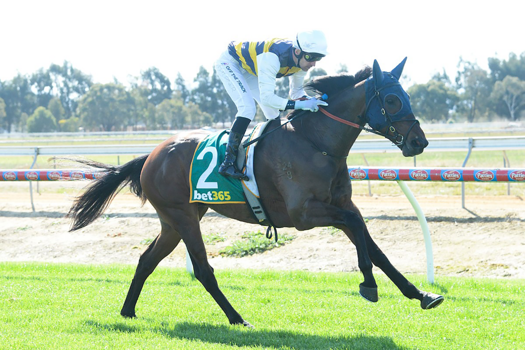 OTI Racing & Bloodstock Khangai racehorse Australia winning