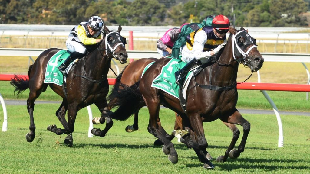 Daqiansweet Junior winning the Adelaide Cup with Jamie Kah on board. March 14, 2022
