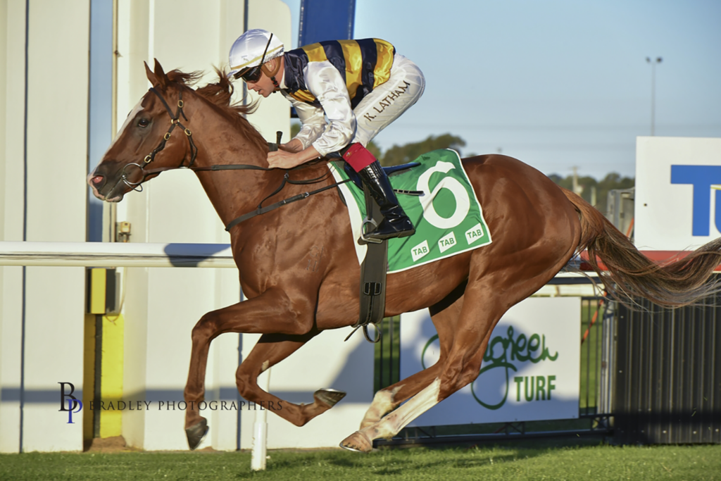 Flashing Steel horse racing at finish line for Kembla