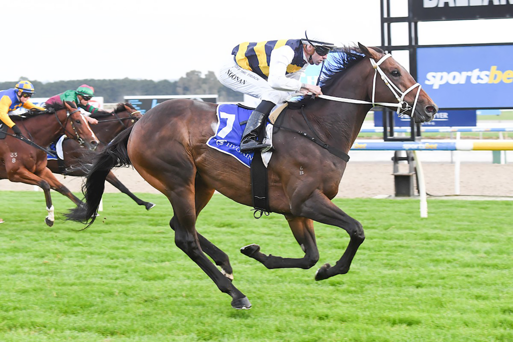 Daiquiri Racehorse - Ballarat Win - Stride Profile, OTI Racing & Bloodstock