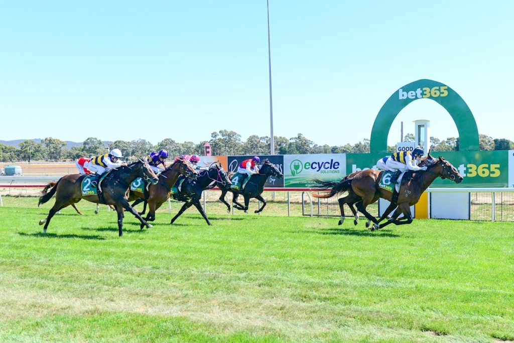 Belthil ridden by Harry Coffey wins the Grampians Racing BM58 Handicap at Stawell Racecourse on January 06, 2023 in Stawell, Australia. (Brendan McCarthy/Racing Photos)