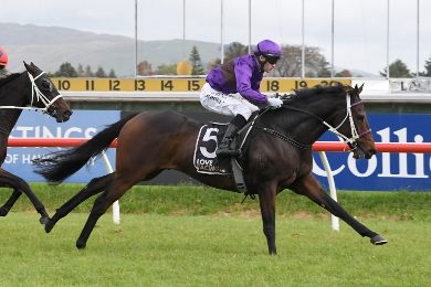 Lincoln Rocks racehorse mid-race, OTI Racing & Bloodstock