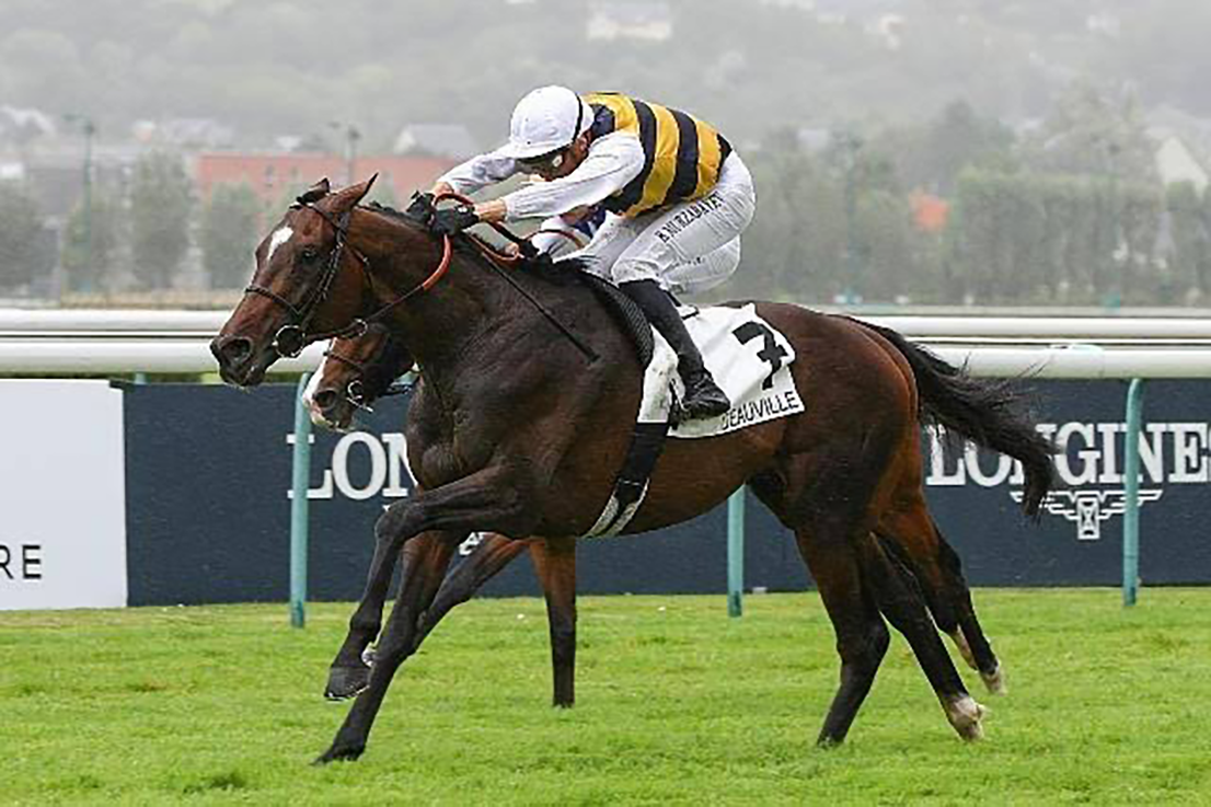 Sevenna's Knight, a 3yo thoroughbred Camelot colt stretches out to win his Listed event at Deauville.