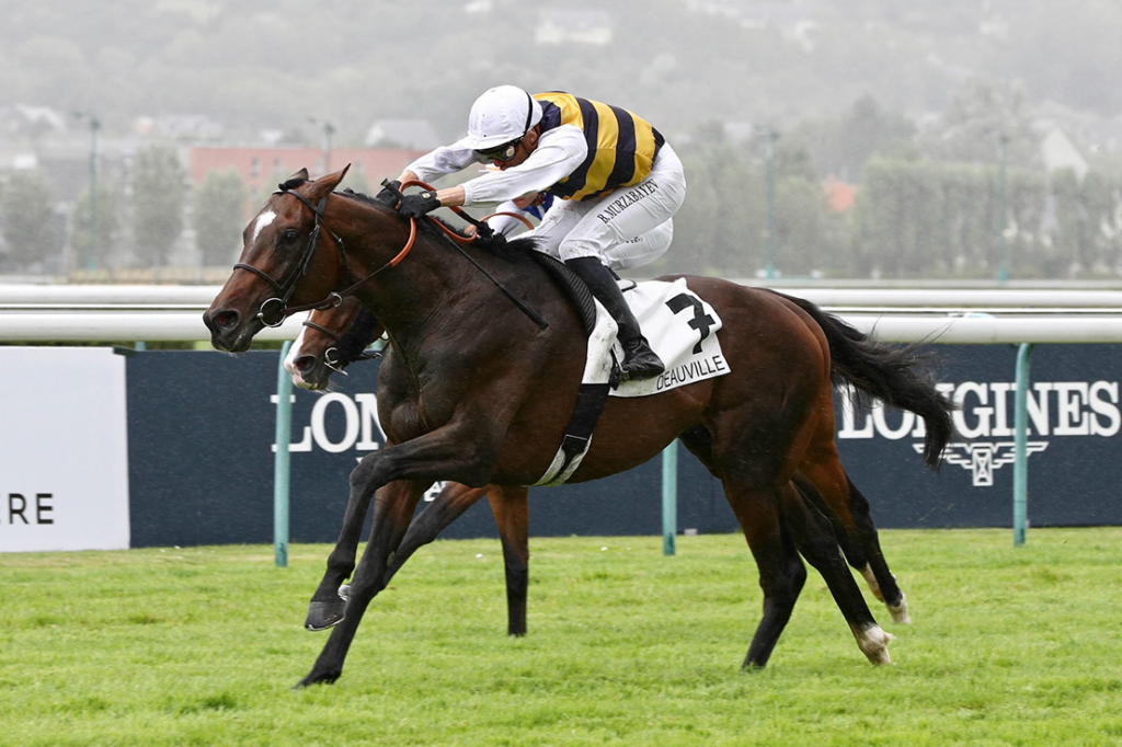 Sevenna's Knight, a 3yo thoroughbred Camelot colt stretches out to win his Listed event at Deauville.
