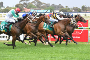 Amade (IRE) ridden by Zac Spain wins the bet365 Geelong Cup at Geelong Racecourse on October 25, 2023 in Geelong, Australia. (Photo by Reg Ryan/Racing Photos)